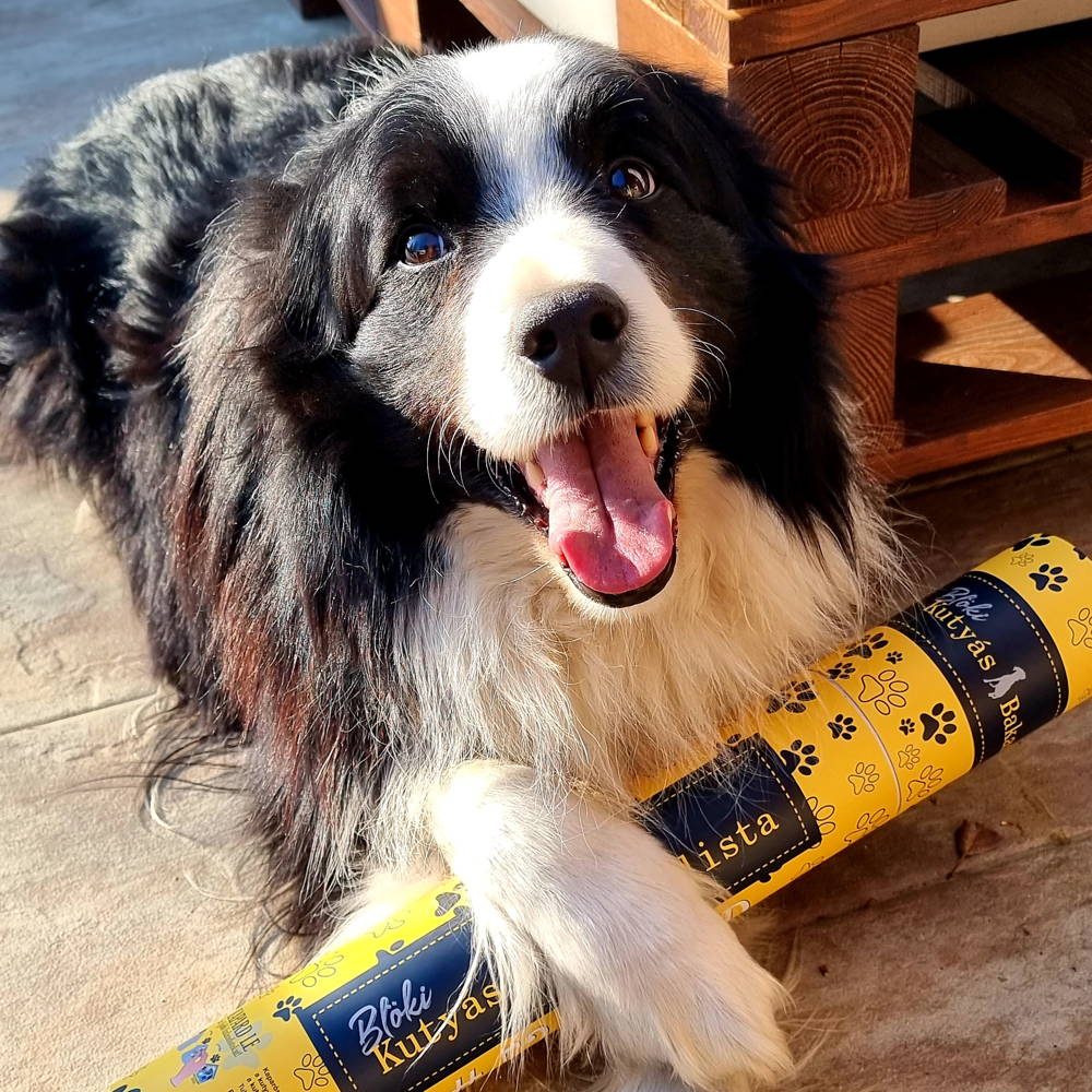 Blöki - Bakancslista kutyásoknak