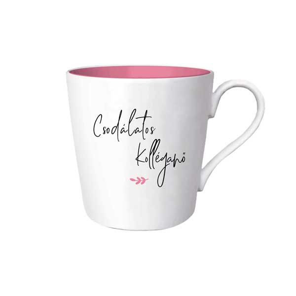 Csodálatos kolléganő bögre