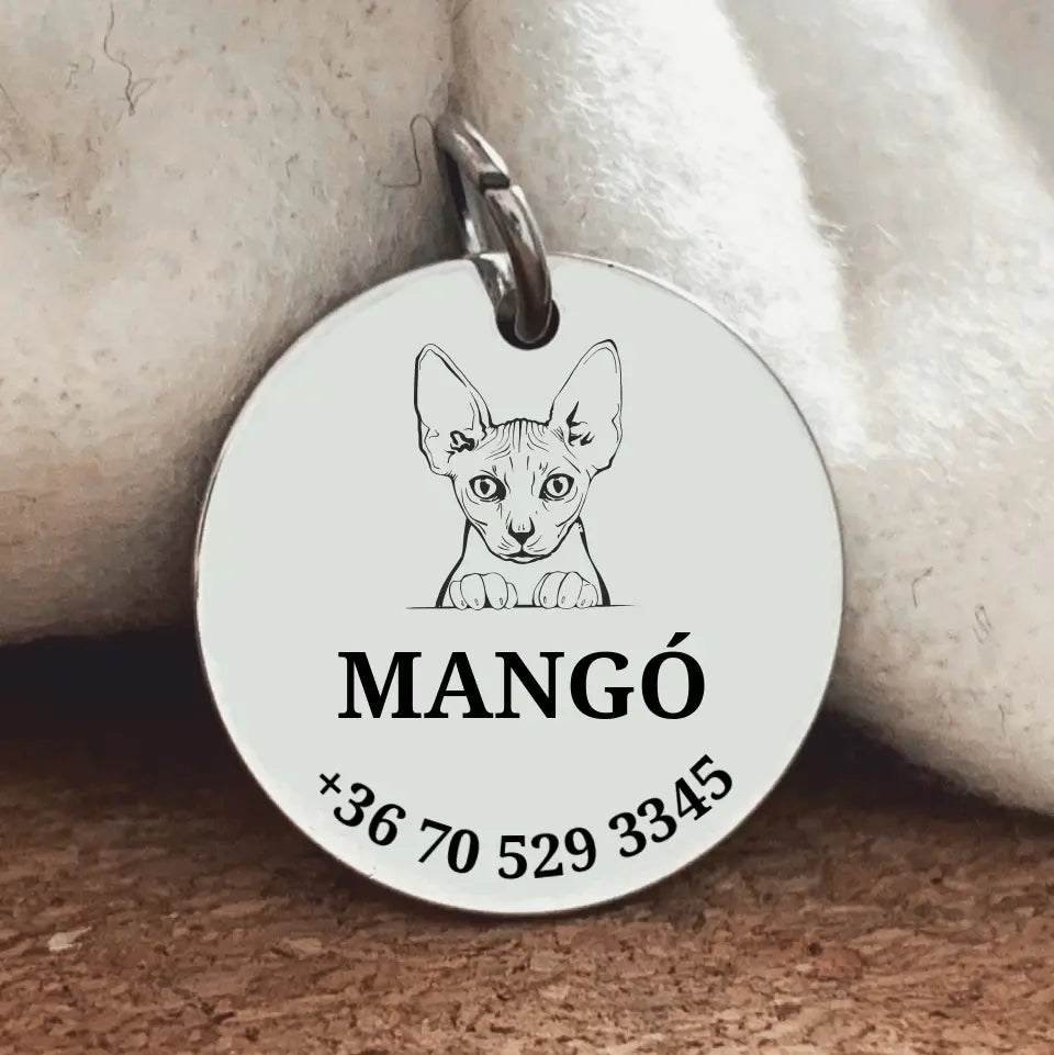 Egyedi biléta Szfinx cicának