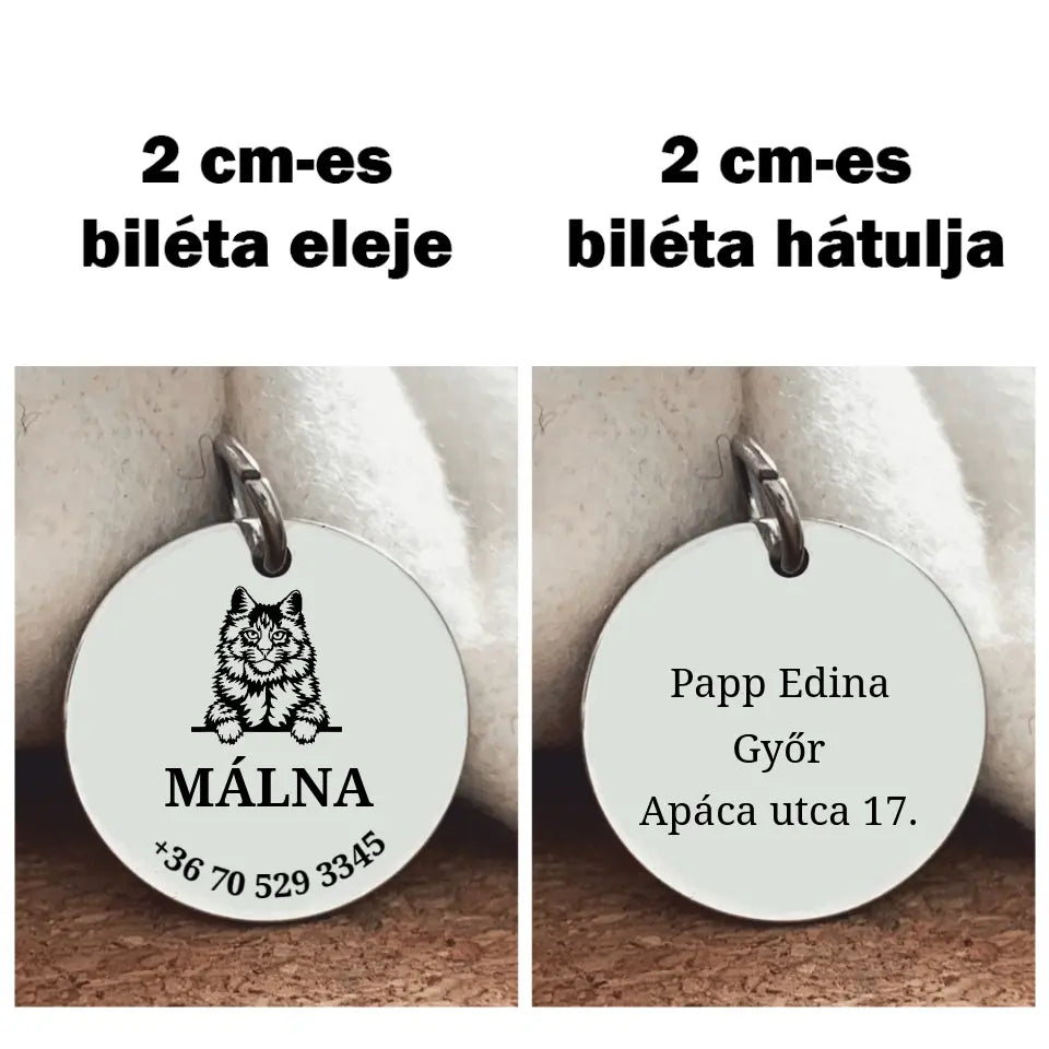 Manie coon macska biléta
