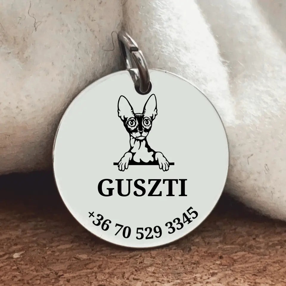 Egyedi biléta Cornish Rex cicának