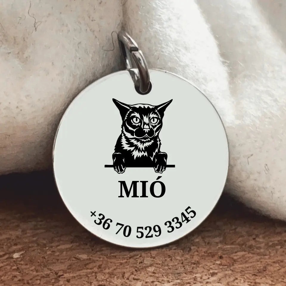 Egyedi biléta Burma cicának