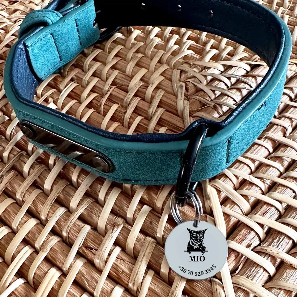 Biléta Burma cicának