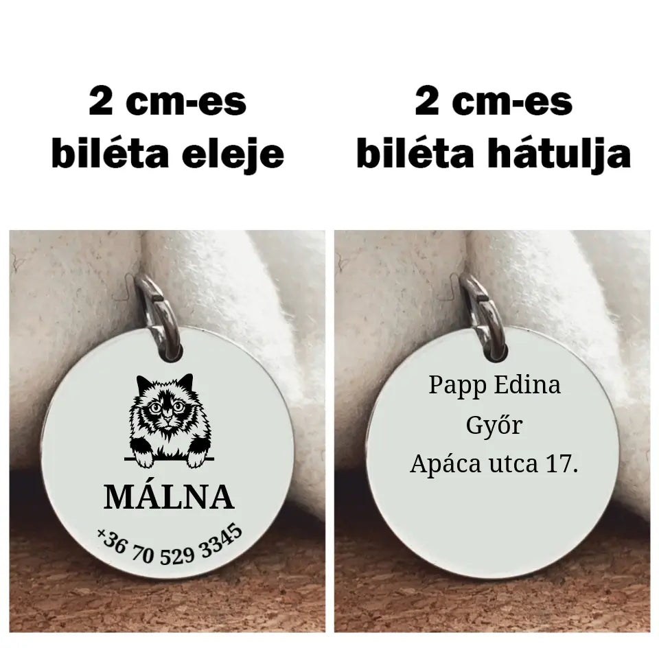 Biléta Briman cicáknak