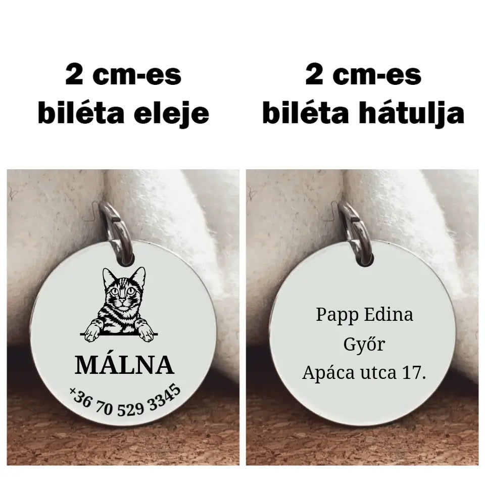 Biléta Bengáli macskáknak