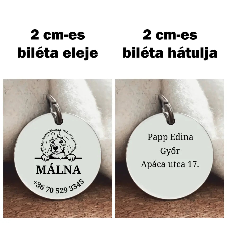 Uszkár kutyabiléta, nemesacél medál