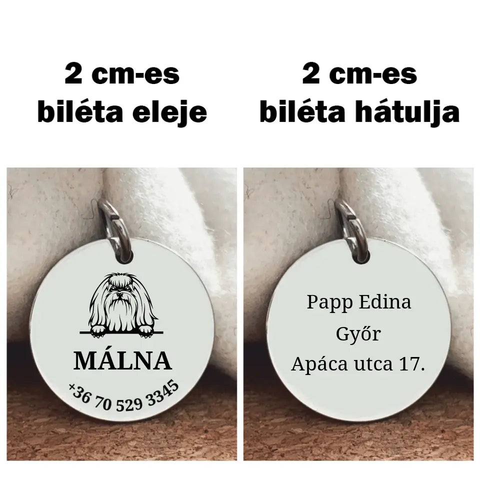 Máltai kutyabiléta a gazdi adataival