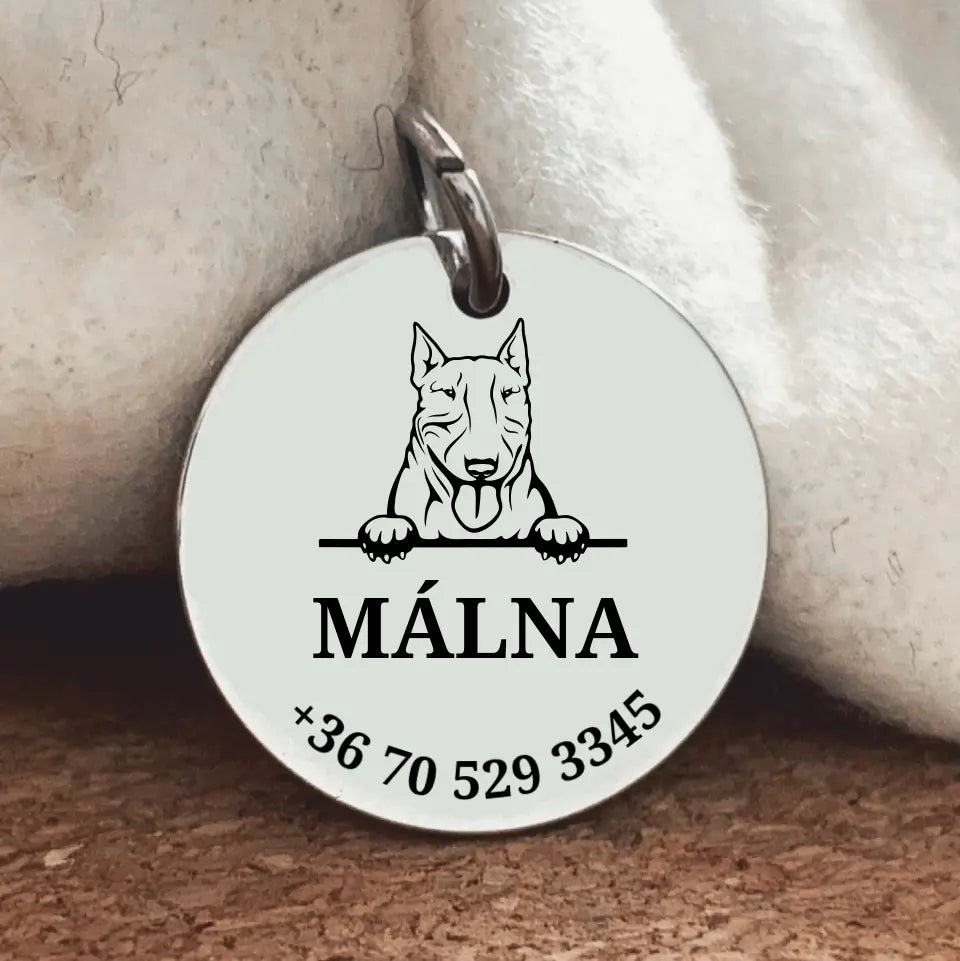 Biléta bullterriernek