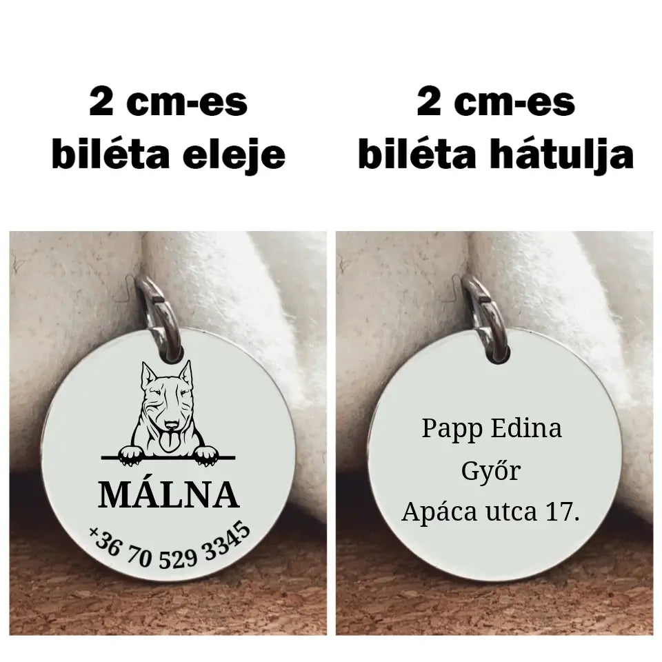 Bull terrier kutyabiléta a gazdi adataival