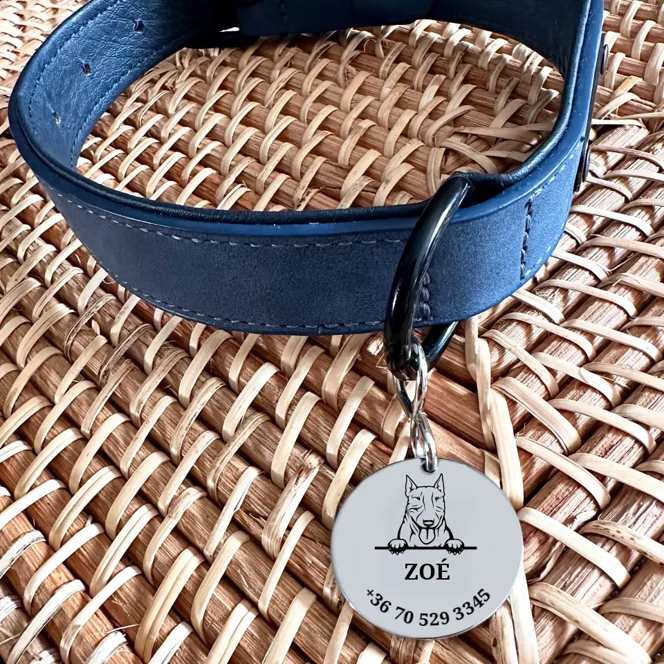 Bull terrier kutyabiléta egyedi grafikával