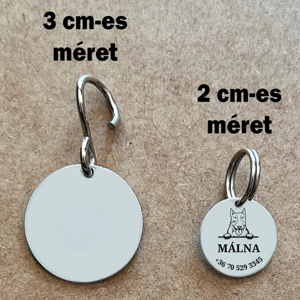 Bull terrier kutyabiléta gravírozással