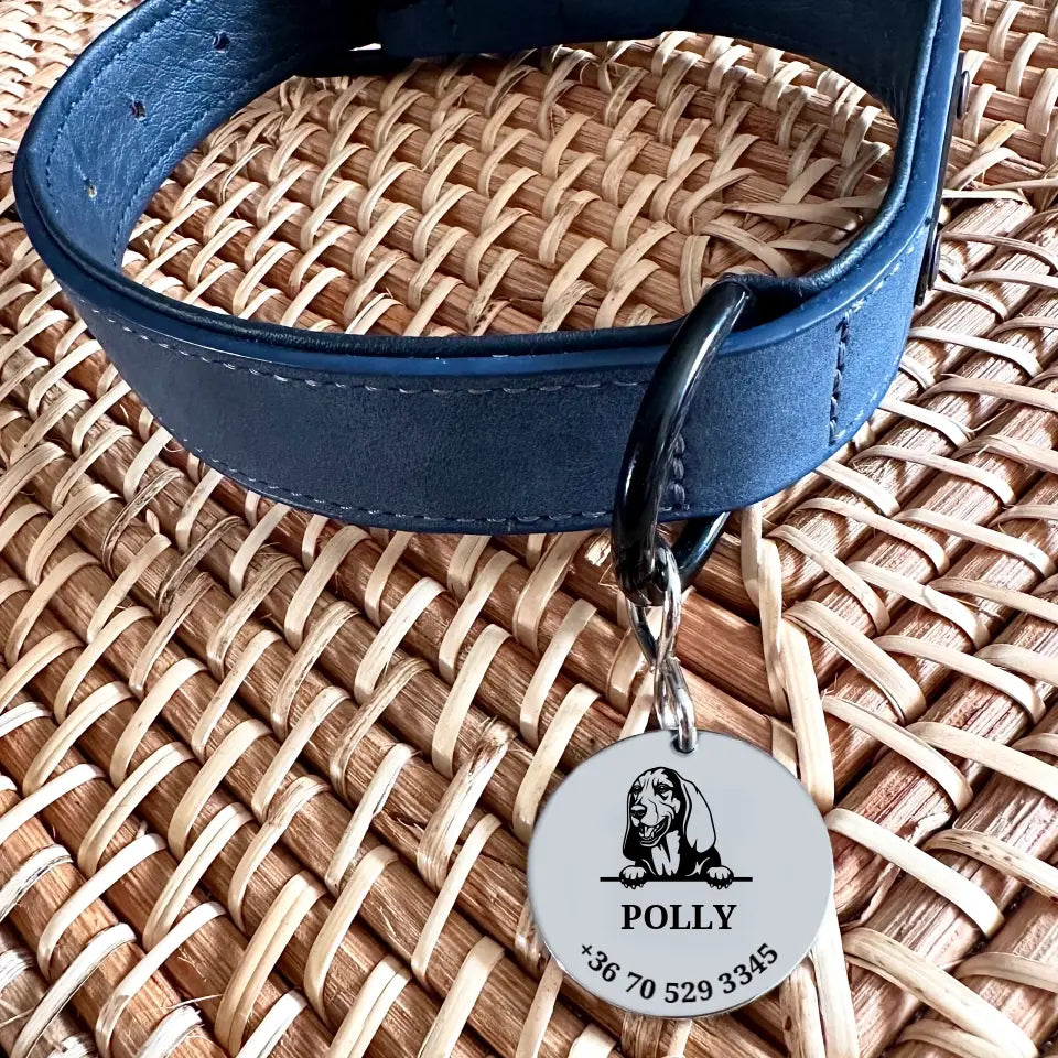 Basset hound kutyabiléta, nemesacél medál