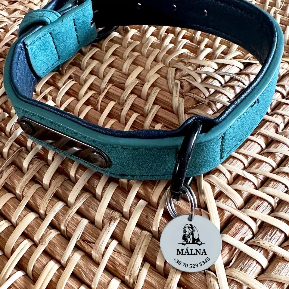 egyedi Basset hound kutyabiléta