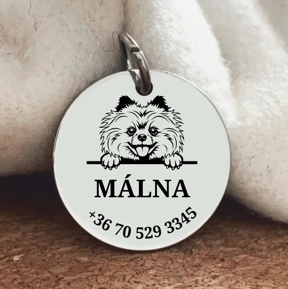 pomerániai törpespitz biléta