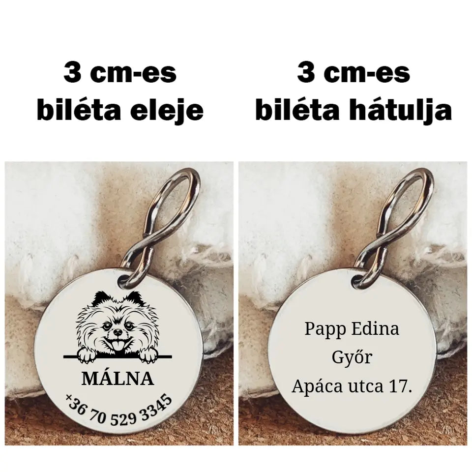 Kutyabiléta pomerániai törpespitz kutyának, nemesacél medál