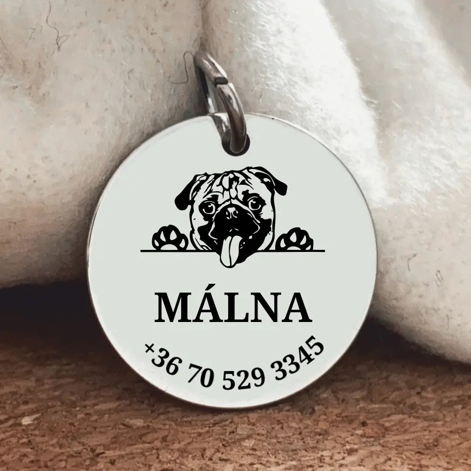 Biléta mopsz kutyának