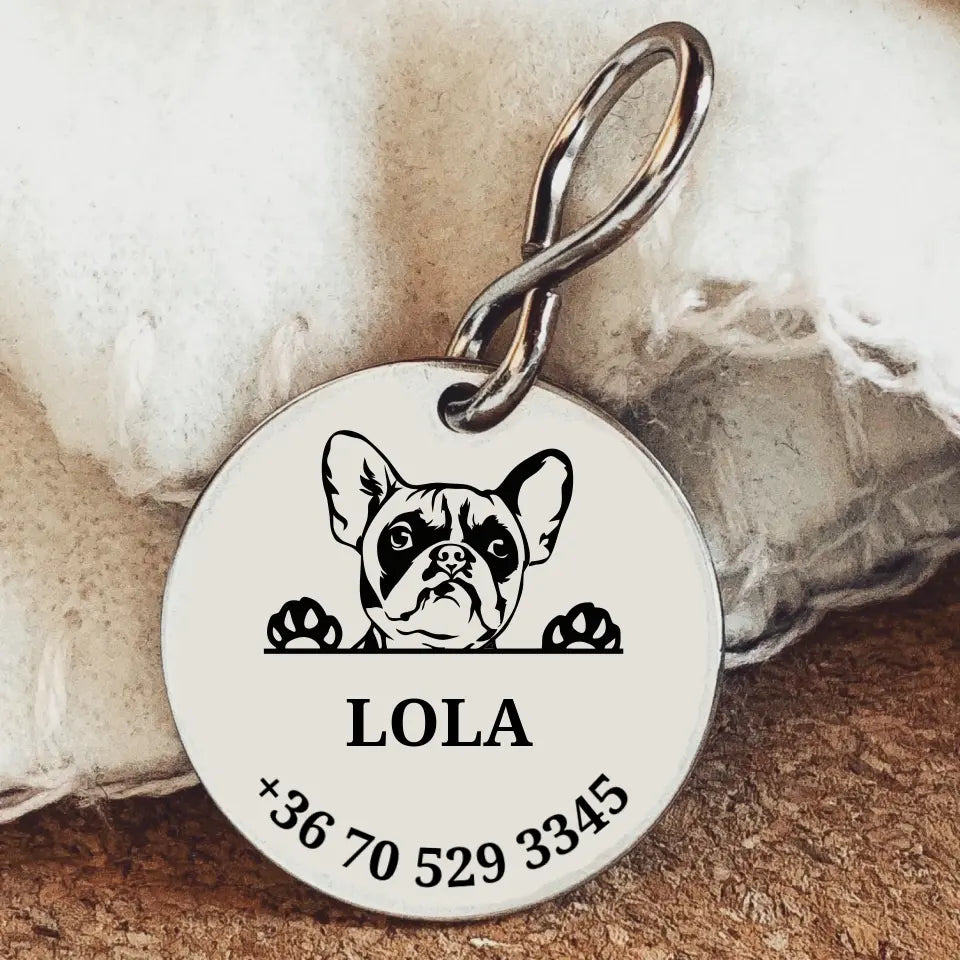 Kutya biléta Francia bulldognak