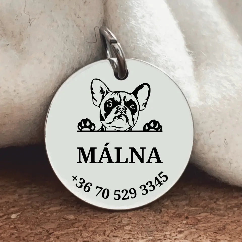 Kutya biléta Francia bulldognak, egyedi gravírozással