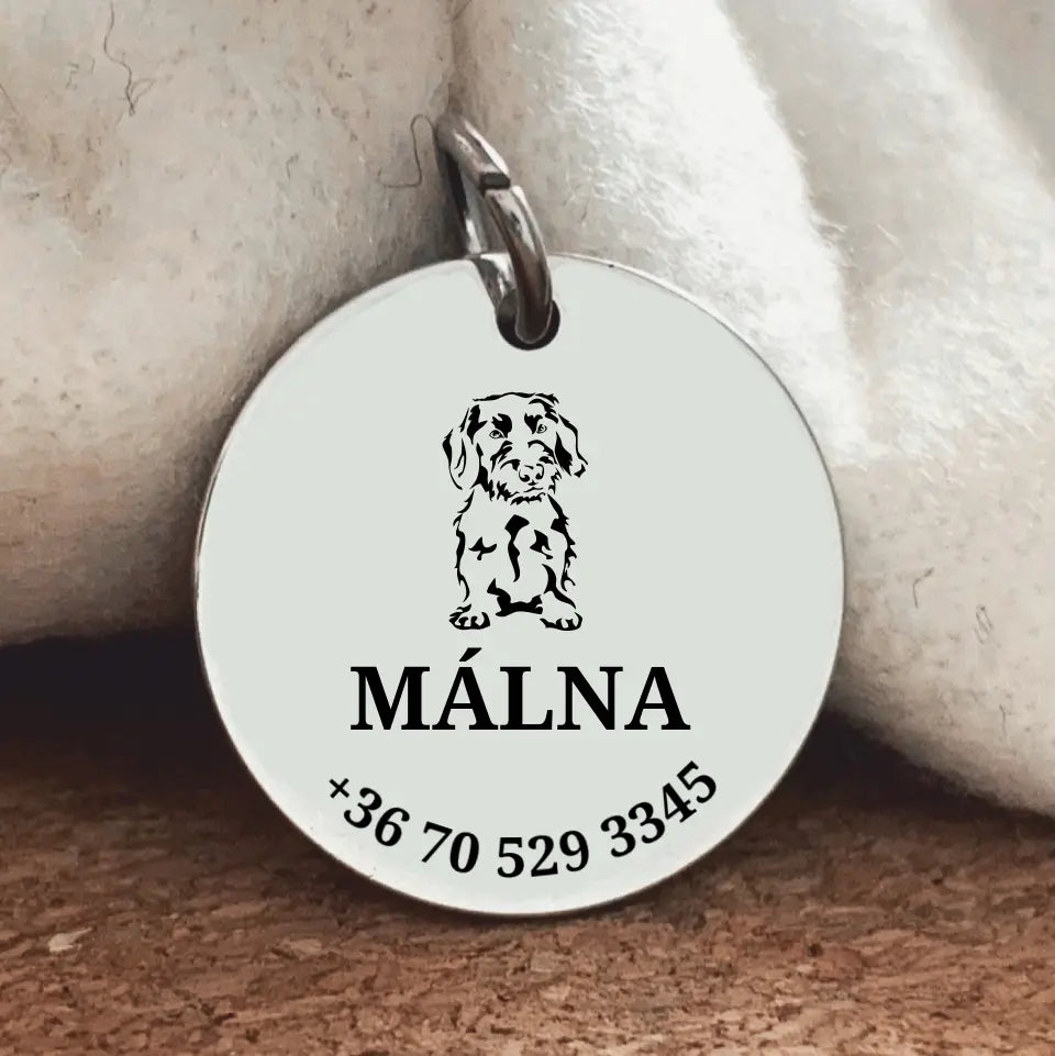 Egyedi biléta Szálkás tacsiknak