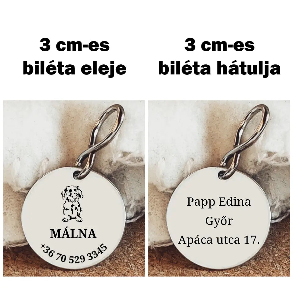 Egyedi biléta Szálkás szőrű tacsiknak 2 méretben