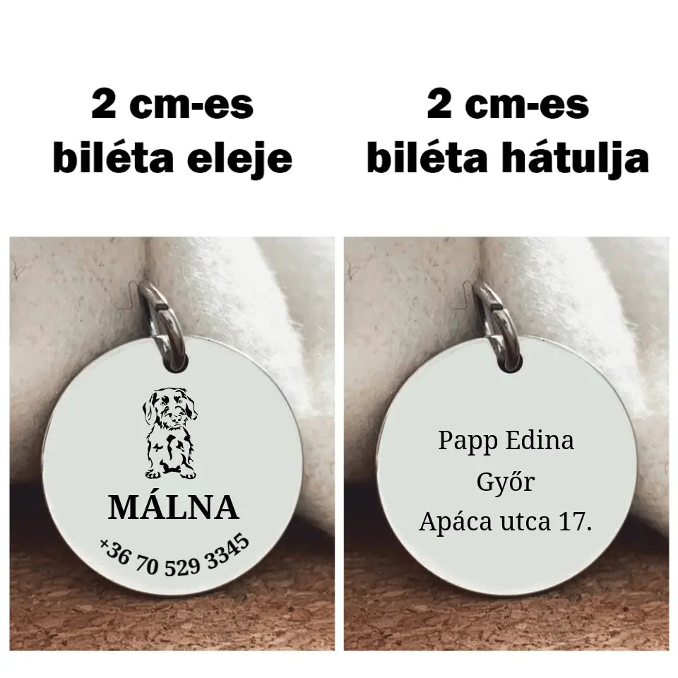 Egyedi biléta Szálkás szőrű tacsiknak, nemesacél medál