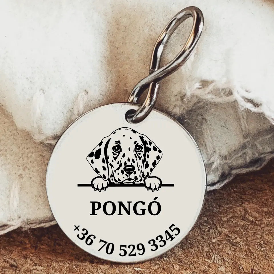 Dalmata kutyabiléta