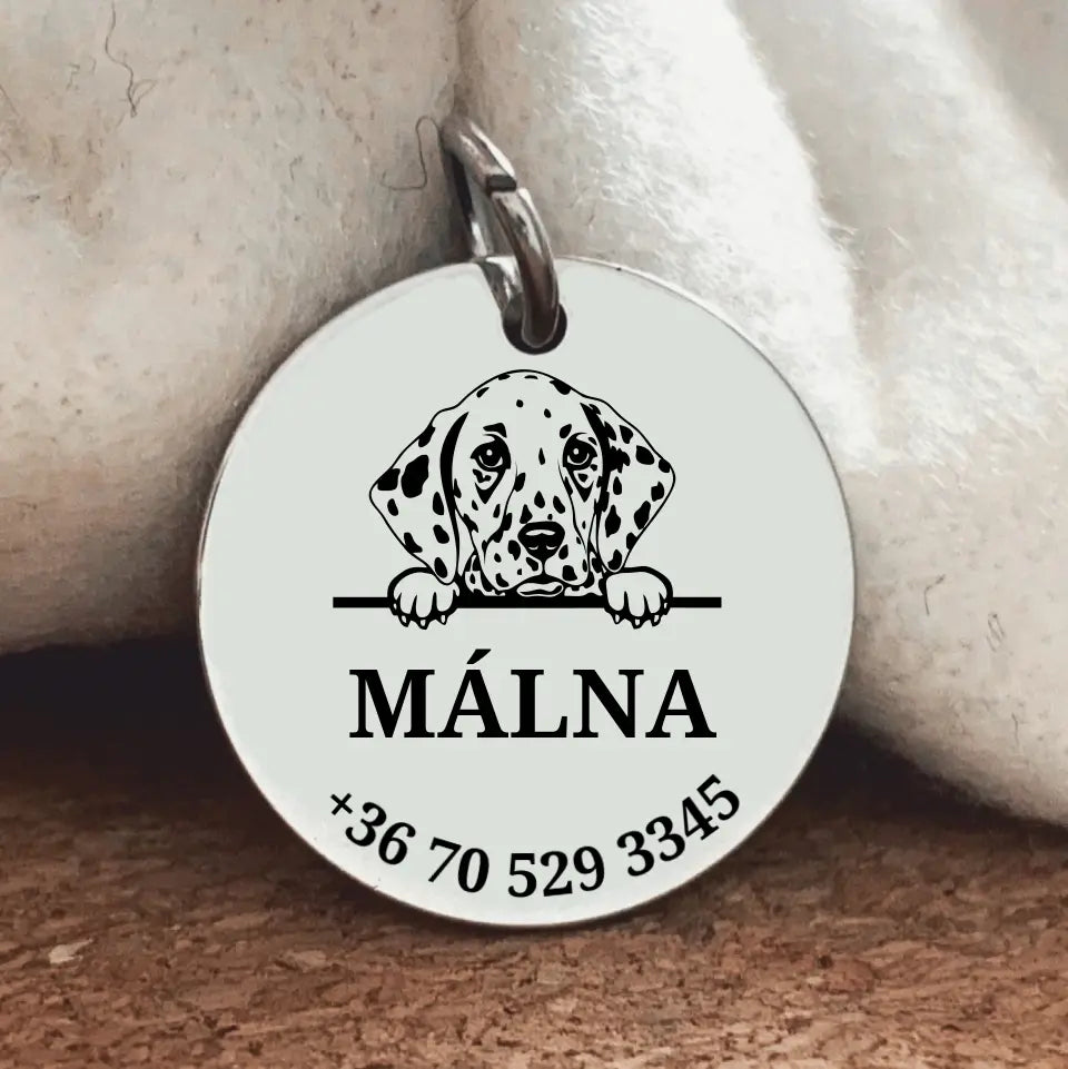 Dalmata kutyabiléta, nemesacél medál