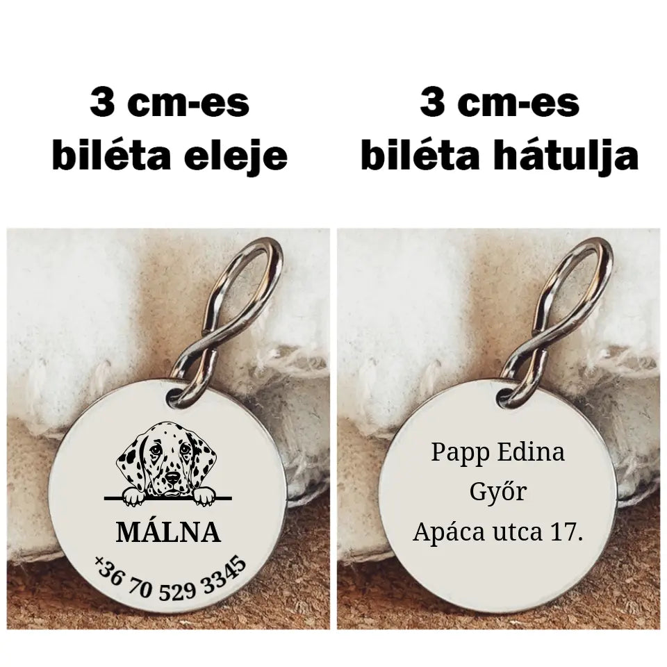 Dalmata kutyabiléta 2 méretben