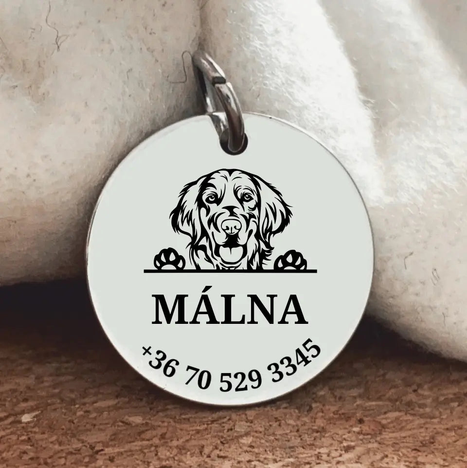 Biléta Golden retrievernek, egyedi biléta