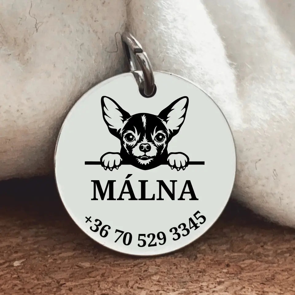 Biléta Csivava kutyának