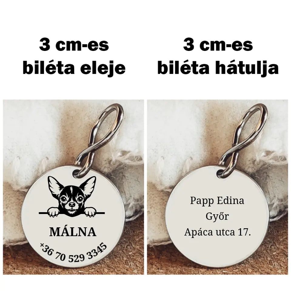 Biléta Csivava fajtájú kutyának, egyedi grafikával