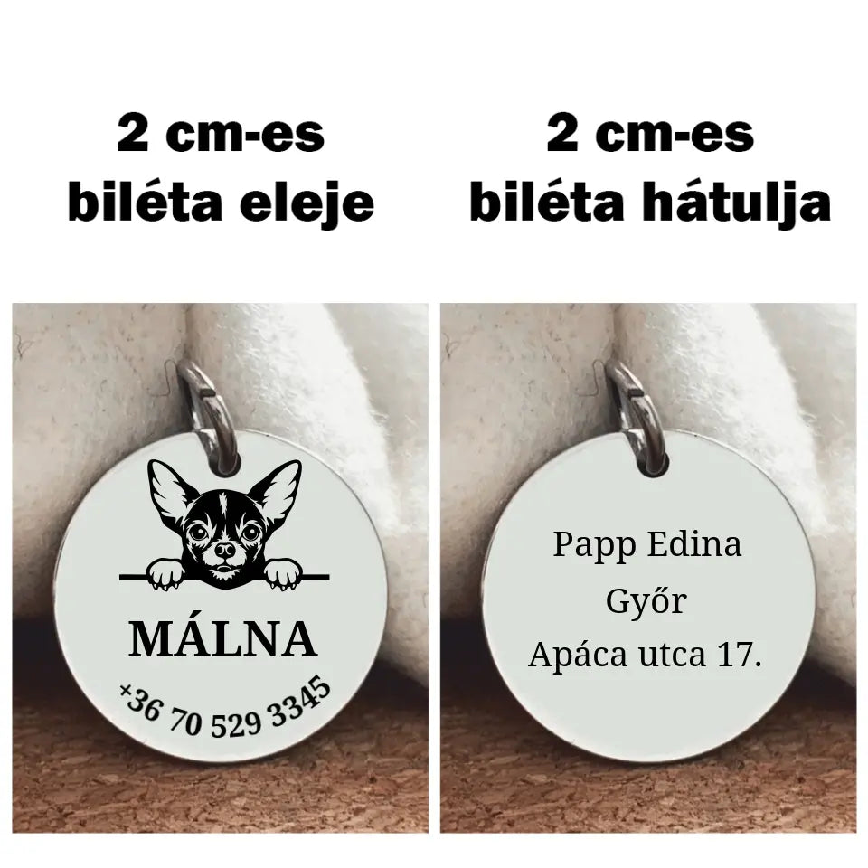 Biléta Csivava fajtájú kutyának 2 méretben