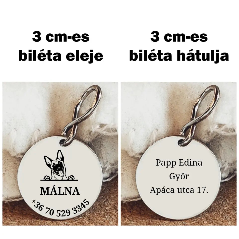 Biléta Belga juhász kutyának a gazdi adataival