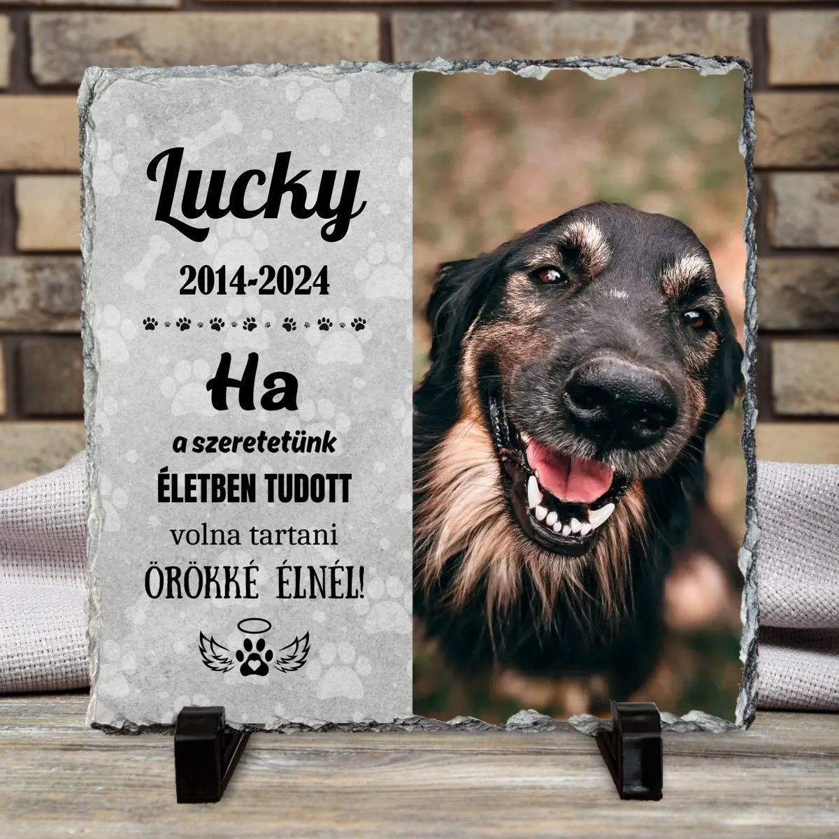 Névtelen terv - 2024-09-23T113044.889