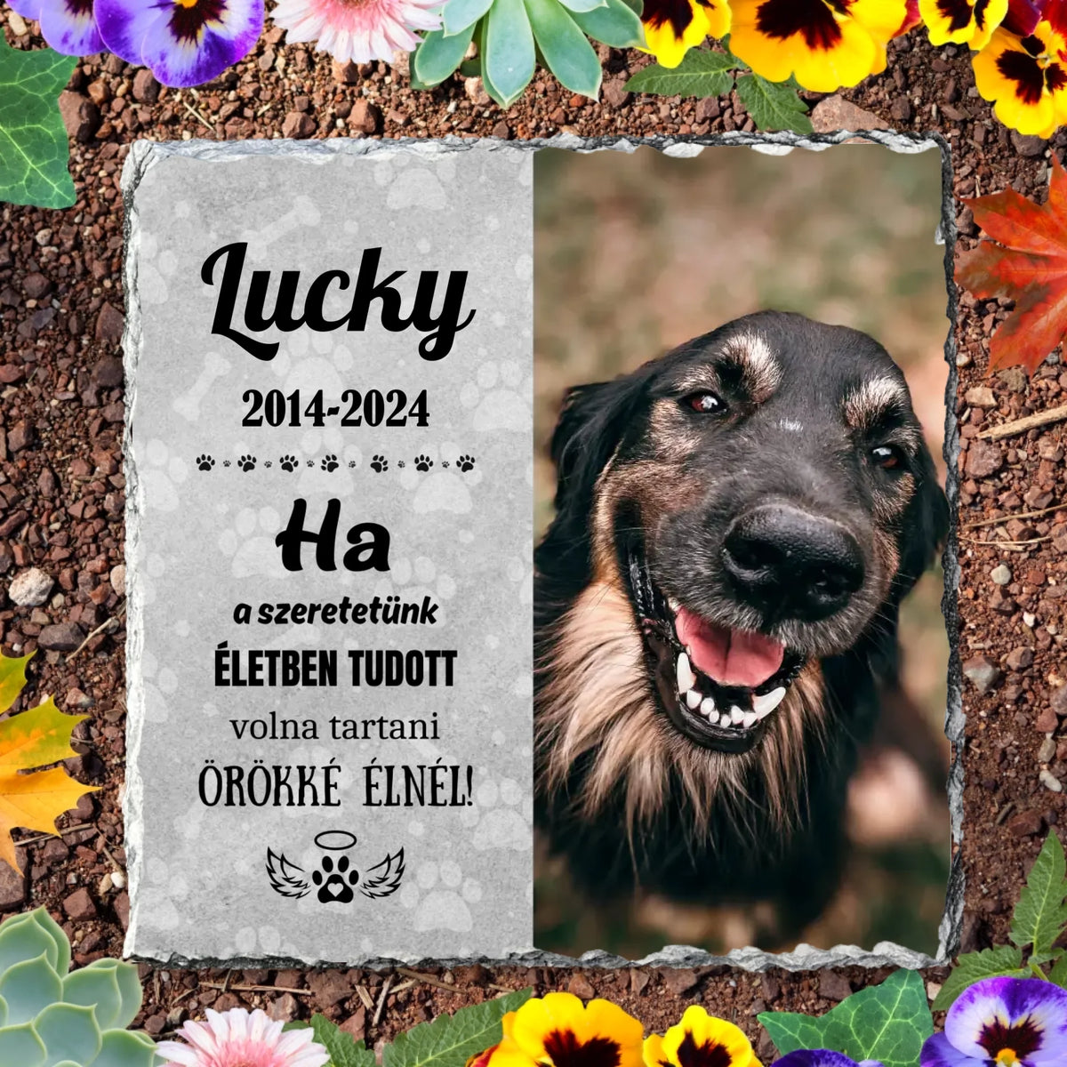 Névtelen terv - 2024-09-23T111634.049