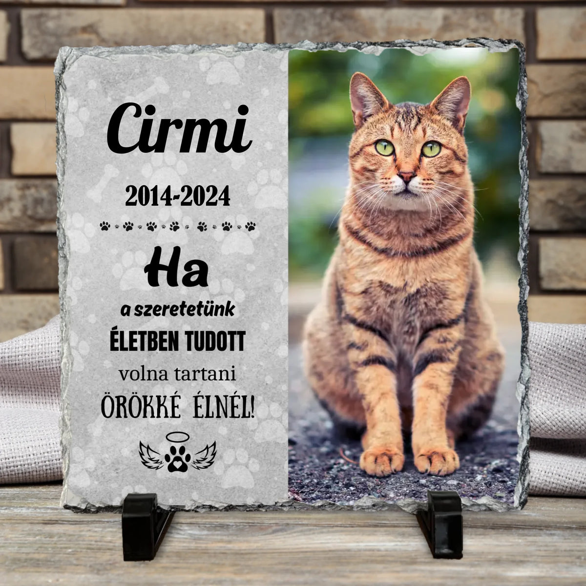 Névtelen terv - 2024-09-23T113044.889