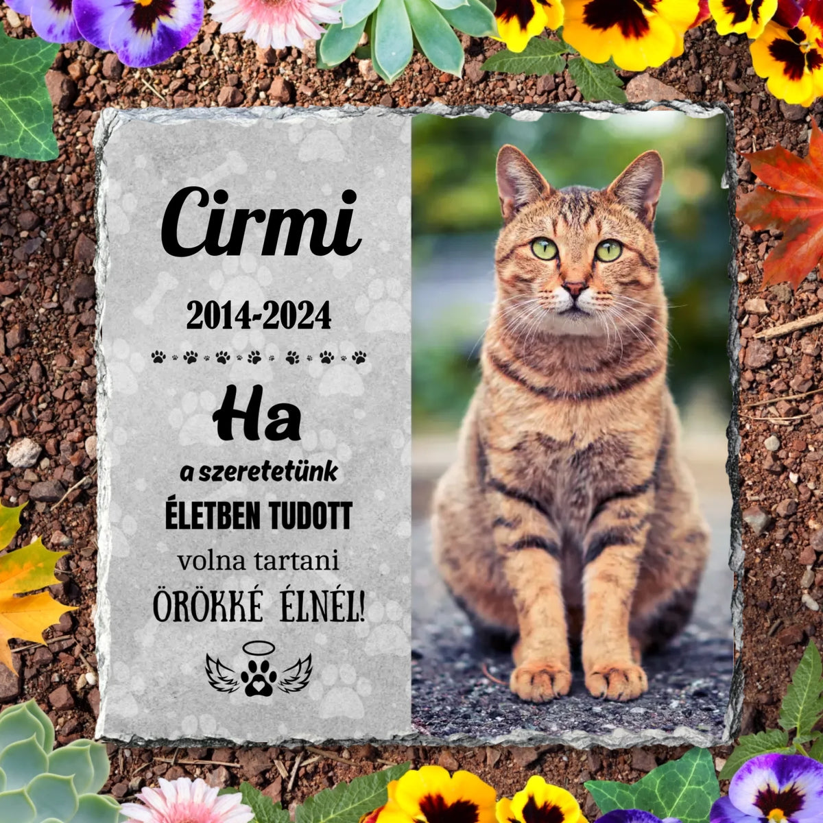 Névtelen terv - 2024-09-23T111634.049