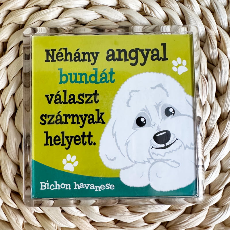 Kutyás hűtőmágnes, kutyás gazdiknak, Bichon